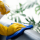 Worker cleaning office furniture